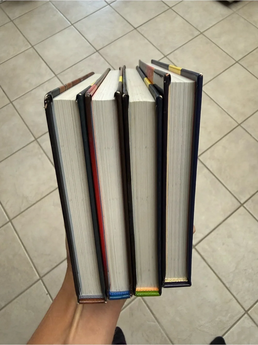 Scholastic four dog